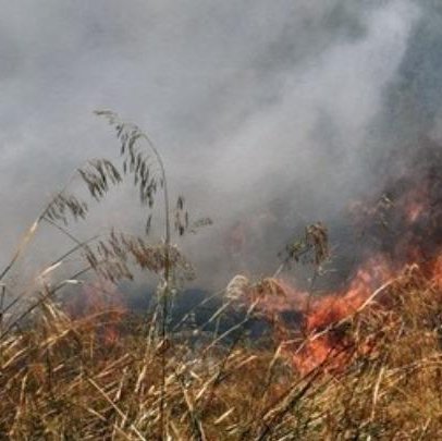 Πυρκαγιά σε ξηρά χόρτα στην έξοδο της Μοσφιλωτής