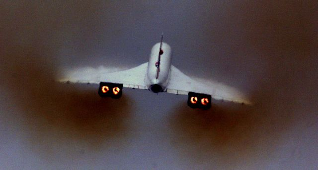 bcab9ef8-caf8-4995-8a6b-c9f74969b4ee.jpg