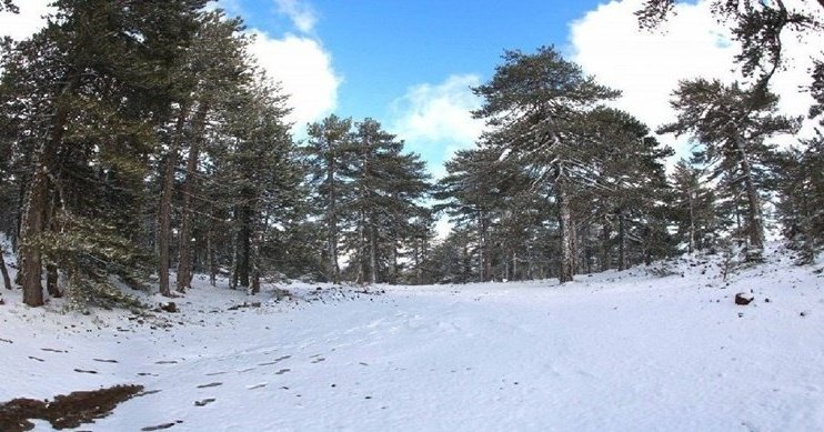 Στο ψυγείο η Κύπρος με τσουχτερό κρύο και χιόνια-Στους 8 βαθμούς η θερμοκρασία