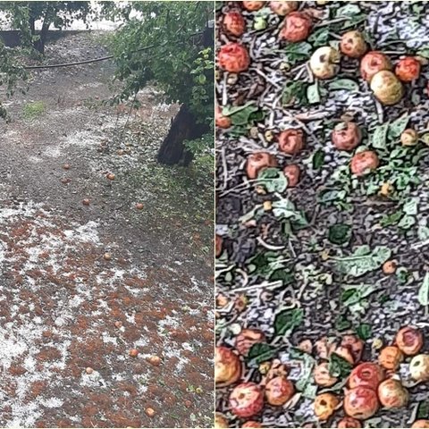 Έντονη χαλαζόπτωση προκάλεσε ζημιές σε καλλιέργειες στην Κυπερούντα (Pics)