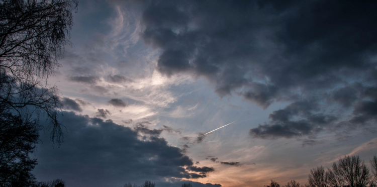 8df6d58c-d7f1-4931-a19c-27583aa47b1b.jpg