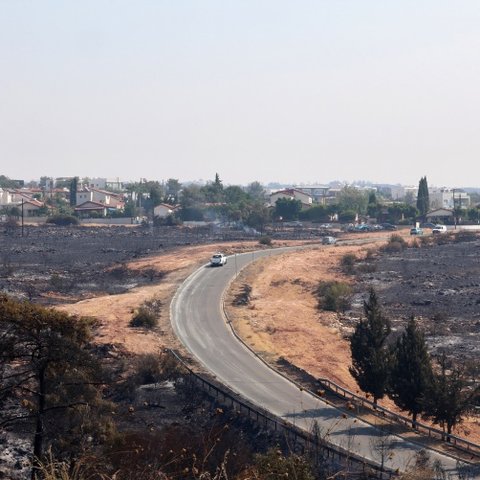 Τουλάχιστον πενήντα νεκρά ζώα φάρμας από τις πυρκαγιές στη Λεμεσό-Συνεχίζεται η καταμέτρηση