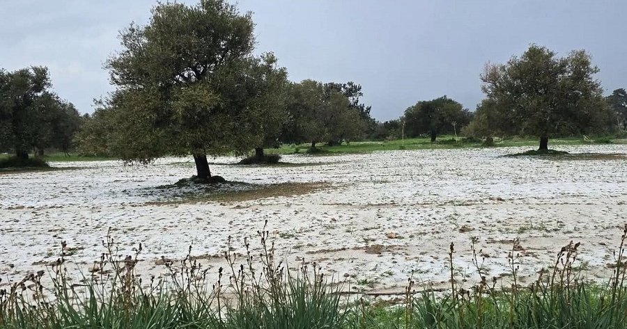 Ζημιές από κακοκαιρία στην κατεχόμενη Καρπασία