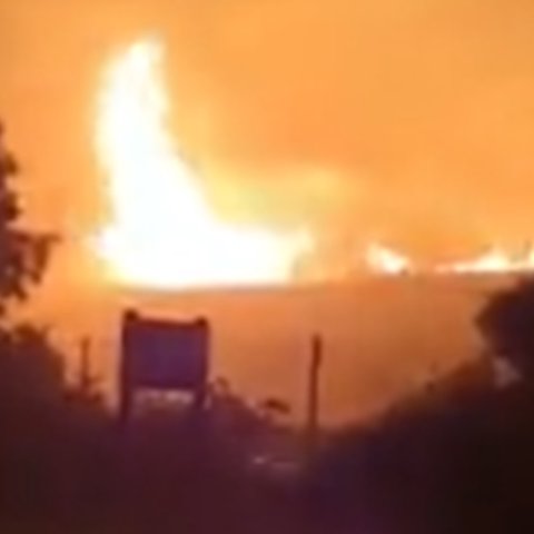 ΒΙΝΤΕΟ: Πυρκαγιά σε ξηρά χόρτα και άγρια βλάστηση στα Κούκλια
