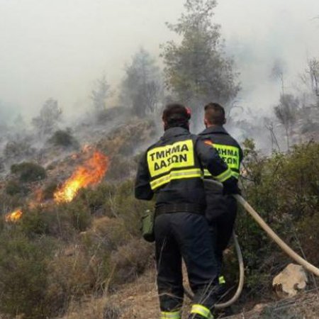 Σε κόκκινο συναγερμό το Τμήμα Δασών λόγω πυρκαγιών-Οι συστάσεις προς το κοινό