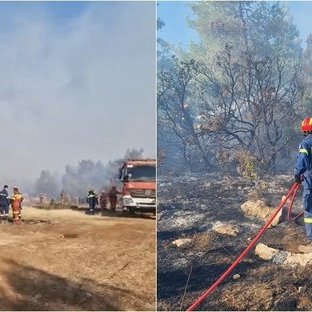 Βελτιωμένη η κατάσταση που επιχειρεί η κυπριακή αποστολή-Οριοθετούν την πυρκαγιά