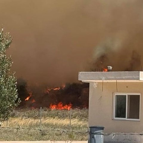 Ανεξέλεγκτη μαίνεται η φωτιά στην Κω-Μήνυμα από το 112 για εκκένωση της Καρδάμαινας (Pic)