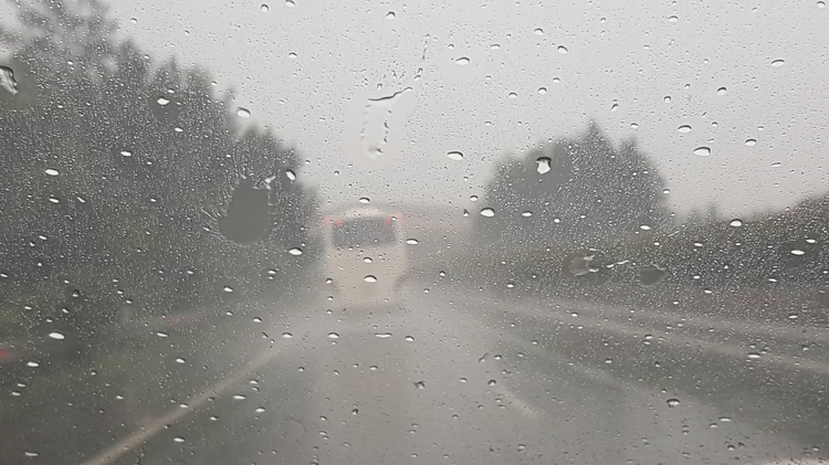 e490fe65-2521-439d-85c0-c5401cc017e8.jpg