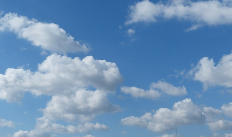 a224260b-30d4-4a9b-86b5-b26448c5a290.jpg