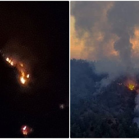 Υπό έλεγχο η φωτιά στο Δάσος της Πάφου-Αναμένεται να υπολογιστεί η έκταση της