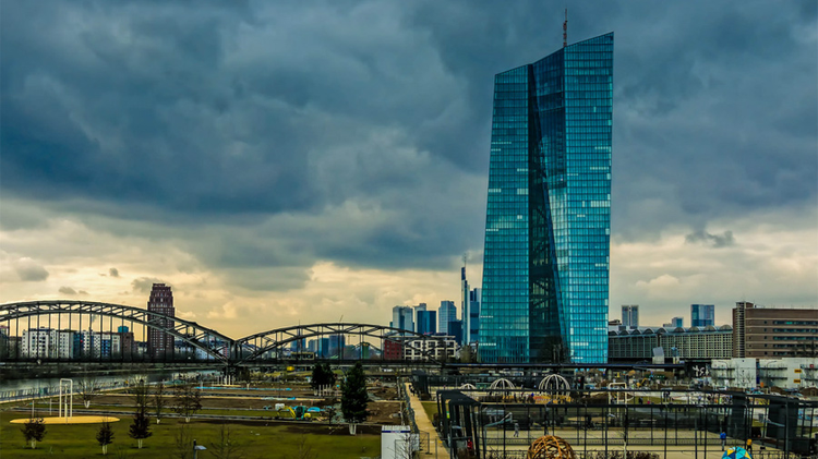 8cff76d8-06d8-490d-b140-a5db64f6be7a.jpg
