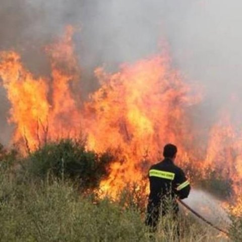 Πιθανότερο αίτιο τα ηλεκτροφόρα καλώδια για την πυρκαγιά στο Φικάρδου