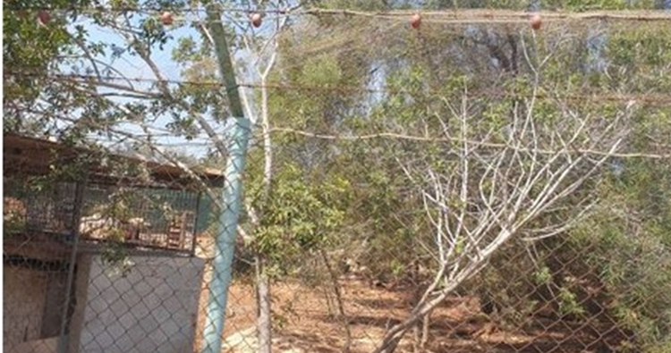 30354_40c-pics.jpg