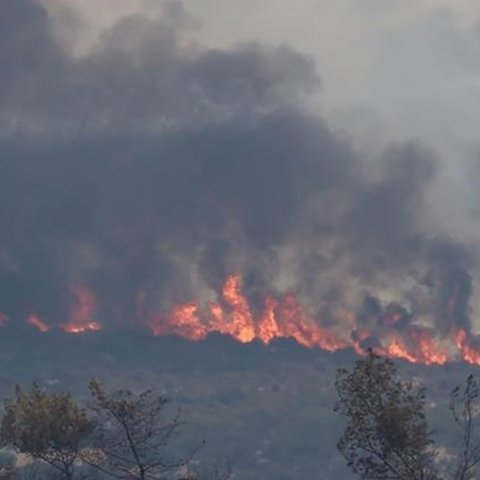 Κινδυνεύει από τις φλόγες οινοποιείο στο Όμοδος, καταστροφές σε καλλιέργειες-«Μια κόλαση…»