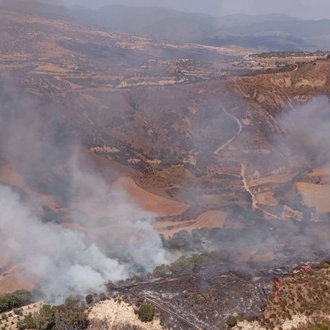 Πυρκαγιά σε ξηρά χόρτα στη Μηλιού-Στη μάχη πέντε πτητικά μέσα (pic)