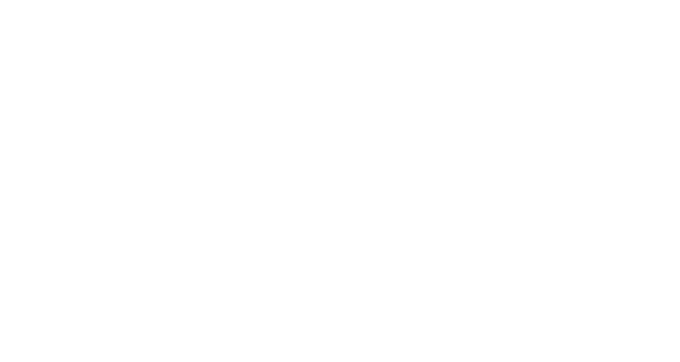 CBN Logo