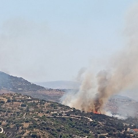 Σε κινητοποίηση επίγειες και εναέριες δυνάμεις για πυρκαγιά στην περιοχή Σαλαμιού