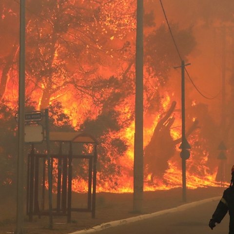 Τραγωδία χωρίς τέλος στην Ελλάδα… Δυο παιδάκια ανάμεσα στους δεκαοκτώ απανθρακωμένους