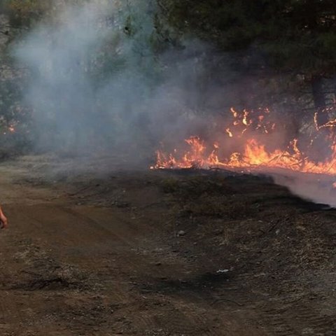 Απομακρύνθηκαν τουλάχιστον 50.000 πολίτες στην Τουρκία-Μάχη με τις φλόγες, καταστράφηκαν σπίτια
