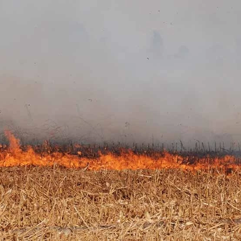 Φωτιά κοντά στο Πλατάνι Αμμοχώστου στα κατεχόμενα