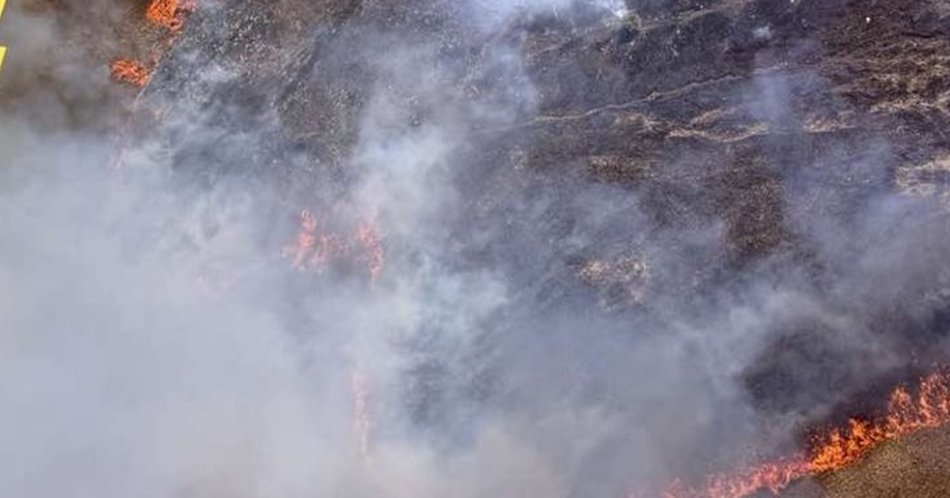 Έγκλημα χαρακτήρισε τη φωτιά ο Ιεζεκιήλ-«Έγινε στάχτη το ελαιοχώρι, μεταφέρθηκε στο νοσοκομείο δασοπυροσβέστης»