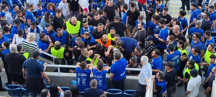 32248_steward.jpg