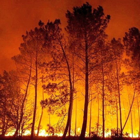 Κλιματική δικαιοσύνη στα δικαστήρια-Η καταδίκη της Ελβετίας άνοιξε τον δρόμο