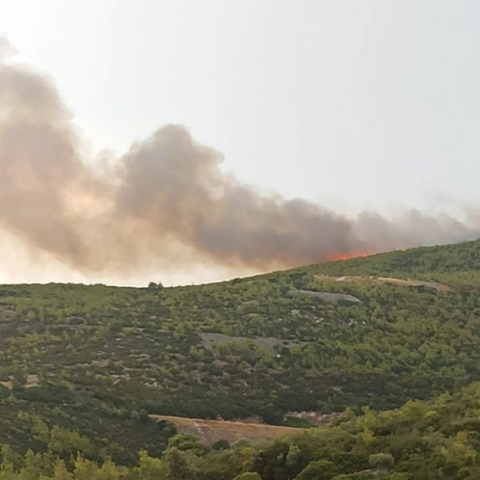 Συνεχίζεται η μάχη με τις πυρκαγιές στην Ελλάδα-Νέα μέτωπα σε Γραμματικό, Βαρνάβα και Μαραθώνα