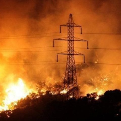 Το 25% των καμένων περιοχών στην Κύπρο εντοπίζεται εντός των περιοχών Natura2000