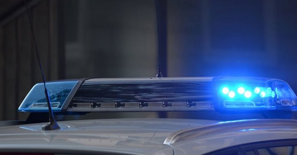 Μετέφερε με φορτηγό ζώα από τα κατεχόμενα 42χρονος και κατέληξε με χειροπέδες