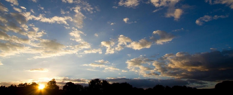 13a00c70-04d9-4efe-a1cc-3e7d106b5623.jpg