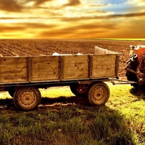 Δύσκολη η εξαίρεση του πρωτογενούς τομέα από τον ΦΠΑ-«Υπάρχουν επιπτώσεις στις τιμές των προϊόντων»