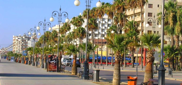 larnaka-finikoudesjpg