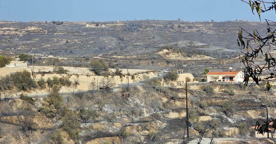 Κάηκαν 4.353 τεμάχια από τις πυρκαγιές-Μέχρι το τέλος της ερχόμενης βδομάδας οι πρώτες αποζημιώσεις από ΚΟΑΓ