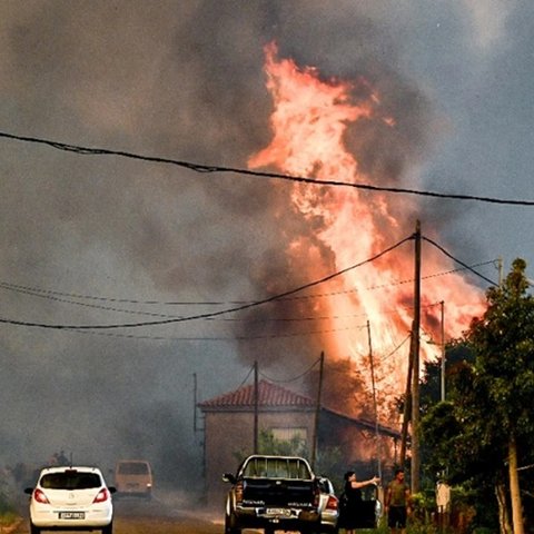 Σε δύο περιοχές η μεγάλη μάχη με τις φωτιές στην Ηλεία (Pics)