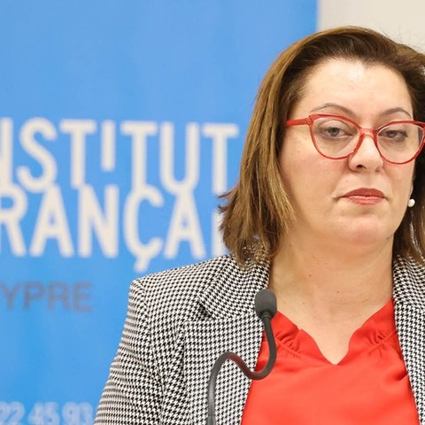 Με πνεύμα συνεργασίας αρχίζει νέο κύκλο επαφών για το νομοσχέδιο για αξιολόγηση η Μιχαηλίδου