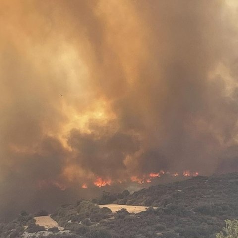 Υπό μερικό έλεγχο η πυρκαγιά στην Άλασσα-Επιχειρούν τα Ιορδανικά ελικόπτερα