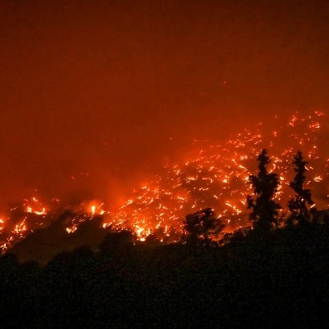 Ολονύχτια μάχη με τις φλόγες σε πολλαπλά μέτωπα στην Ελλάδα (Pics)