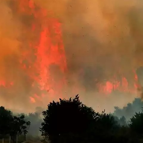 Μάχη με τα πύρινα μέτωπα σε όλη την Ελλάδα-Καίγονται σπίτια, νοσηλεύονται δύο πυροσβέστες με εγκαύματα