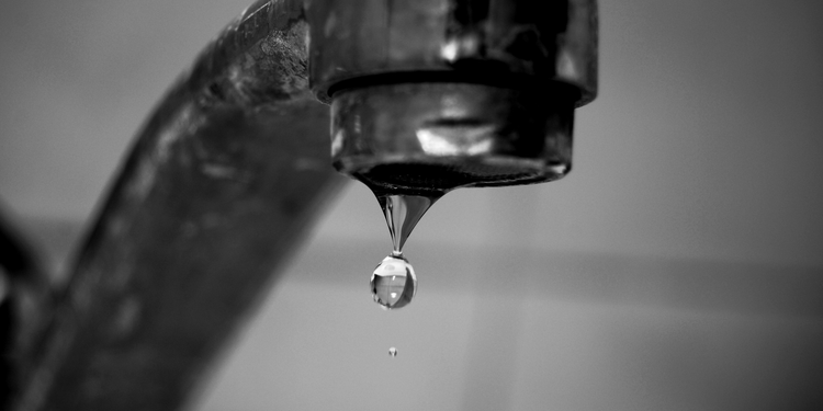 376b42f4-6c49-4c3a-ab9d-d2893f4a8486.jpg