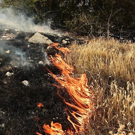 Αποκαλάμες, μπάλες σανού και ξηρά χόρτα κάηκαν από πυρκαγιά στην Τερσεφάνου
