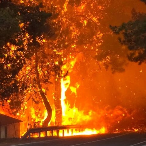 Στο μικροσκόπιο τριών Επιτροπών της Βουλής οι χειρισμοί των Αρχών για τη φονική πυρκαγιά