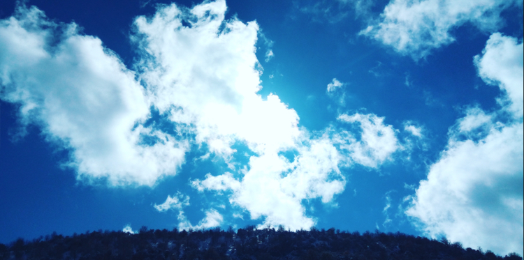 23764821-2e47-4399-af6d-aa42c7386790.jpg