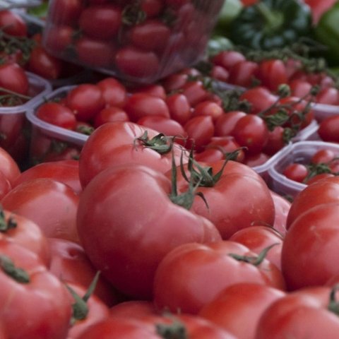 Μετά τις καταγγελίες έκανε έλεγχο το Τμήμα Γεωργίας και εντόπισε τις ντομάτες που «βαφτίστηκαν» κυπριακές