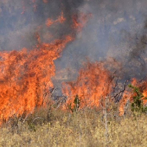 Ηλικιωμένος παραδέχθηκε ότι εκτελούσε εργασίες και προκάλεσε τη φωτιά στις Δύμες