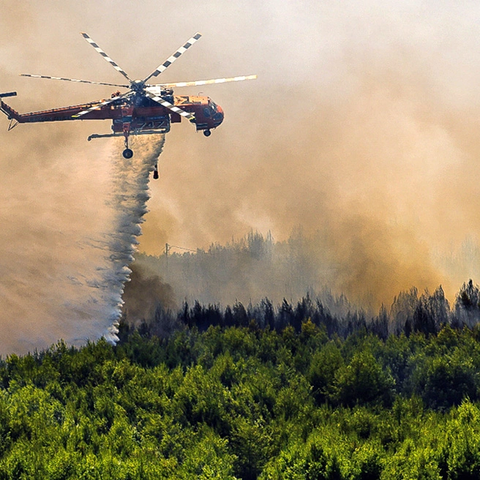 Πολλαπλά μέτωπα φωτιάς στην Ηλεία-Κοντά σε σπίτια οι φλόγες, μήνυμα 112 για εκκένωση (Pics)