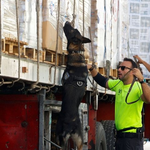 Άλλες έξι πτήσεις με ανθρωπιστική βοήθεια προς τη Γάζα