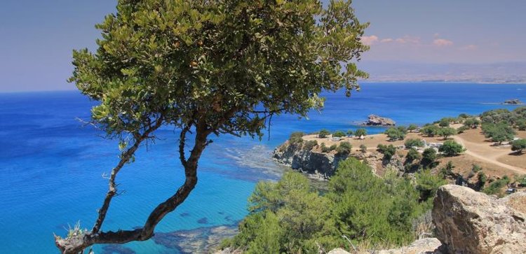 akamas_24.5.22_3