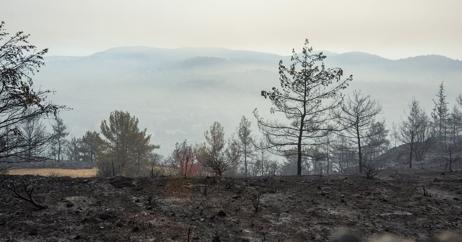 Ανυπολόγιστες ζημιές στο Βουνί, ενδεχόμενο να κάηκαν 100 σπίτια-Προσπάθεια επαναφοράς ηλεκτρισμού