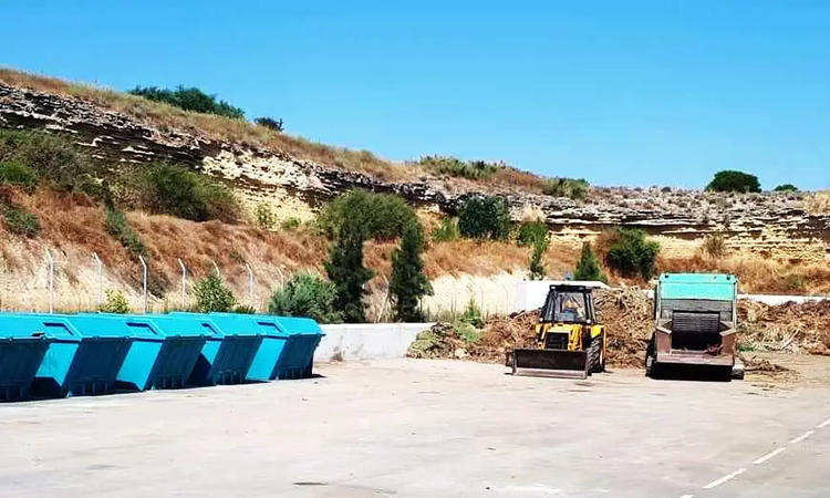 prasino-simio